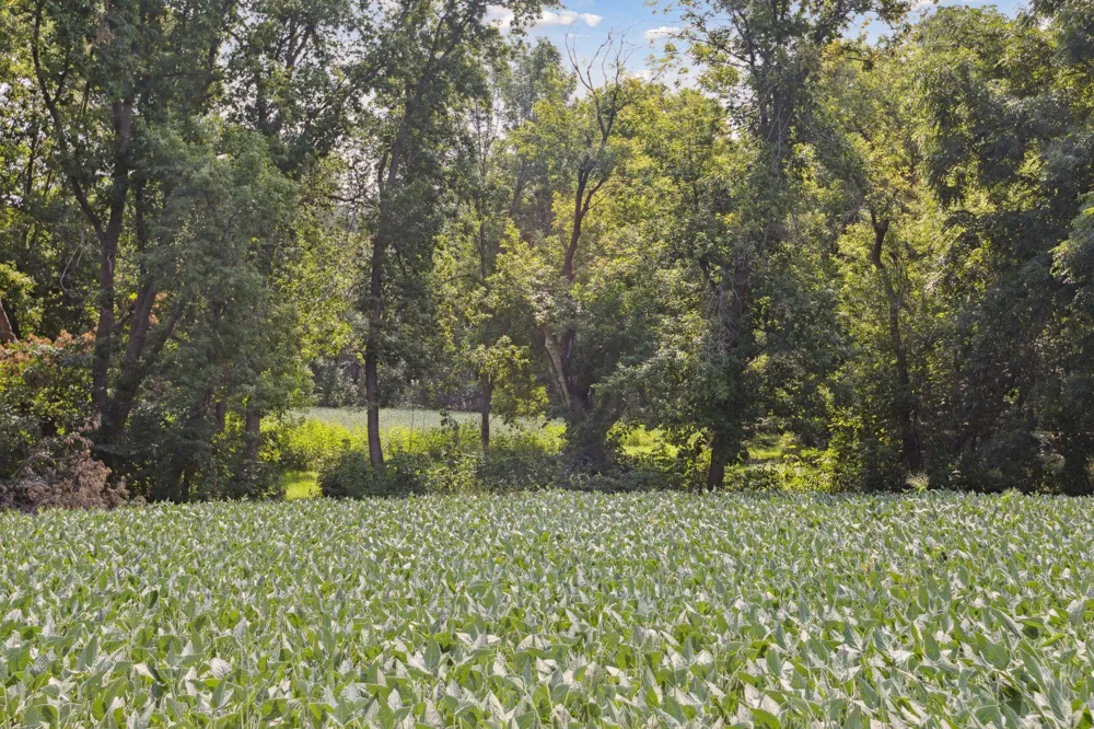 24x1 Holy Name Drive Medina, MN 55340