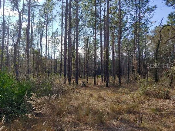 0 US 41 HIGHWAY Floral City, FL 34436