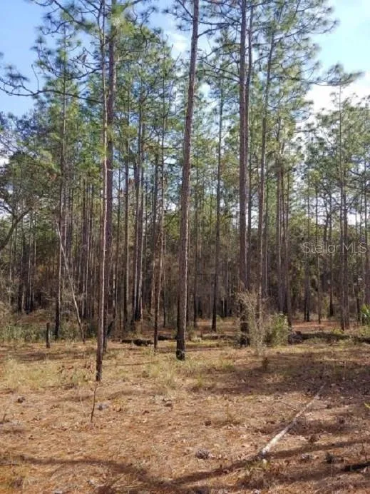 0 US 41 HIGHWAY Floral City, FL 34436