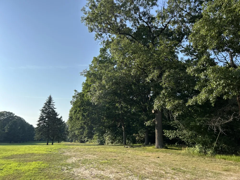 1 Lilac Lane Grand Beach, MI 49117
