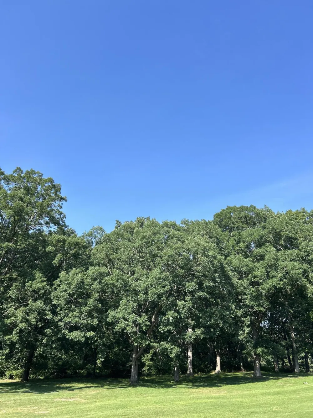 1 Lilac Lane Grand Beach, MI 49117