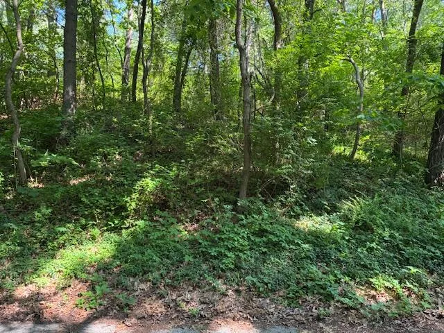 4 Lilac Lane Grand Beach, MI 49117