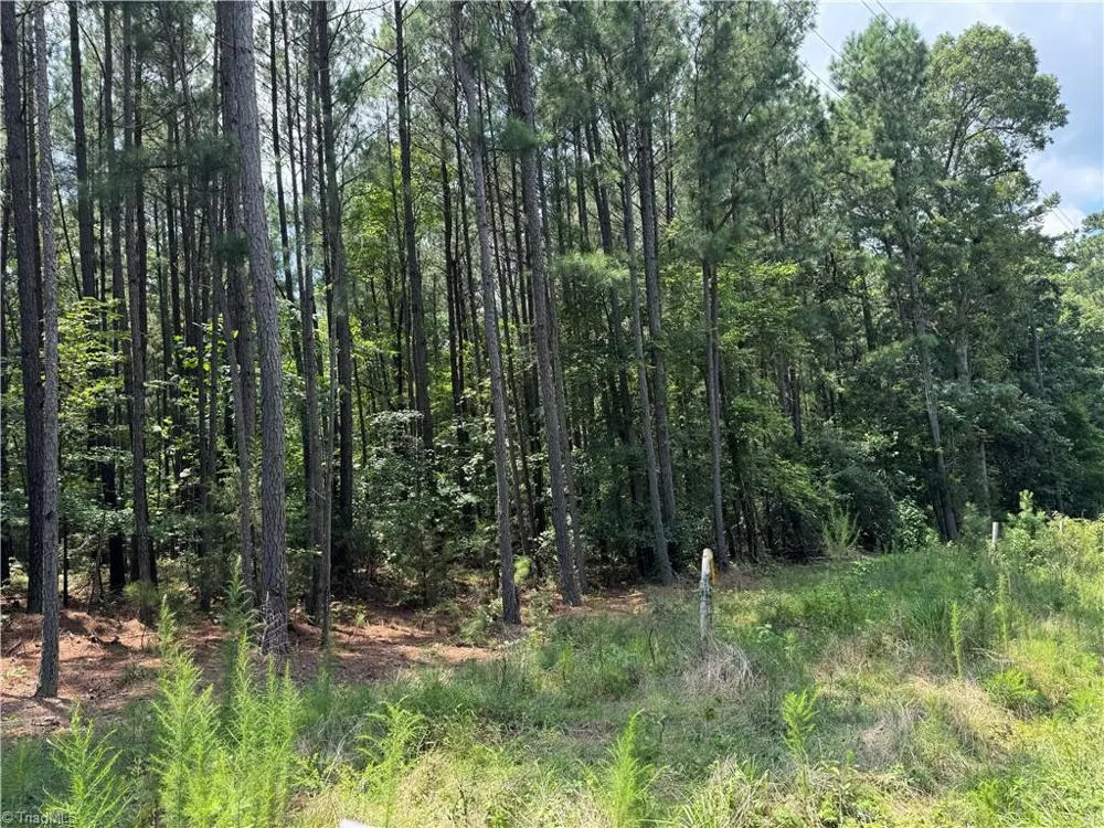 00 Epps Clark Road Siler City, NC 27344