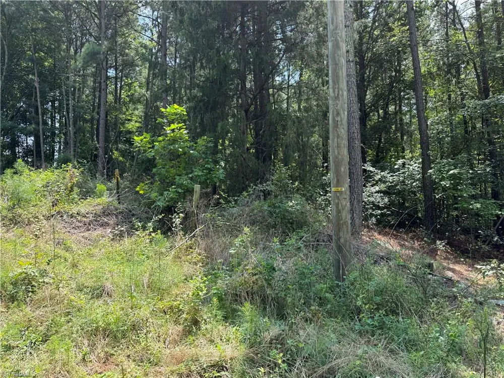 00 Epps Clark Road Siler City, NC 27344