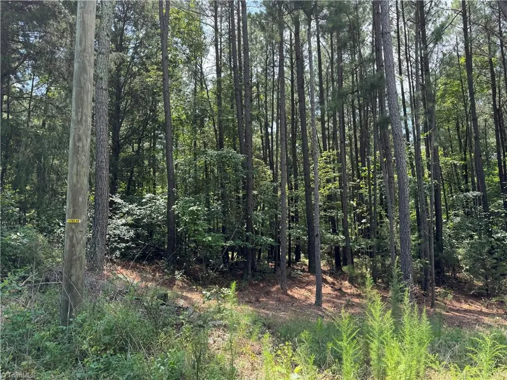 00 Epps Clark Road Siler City, NC 27344