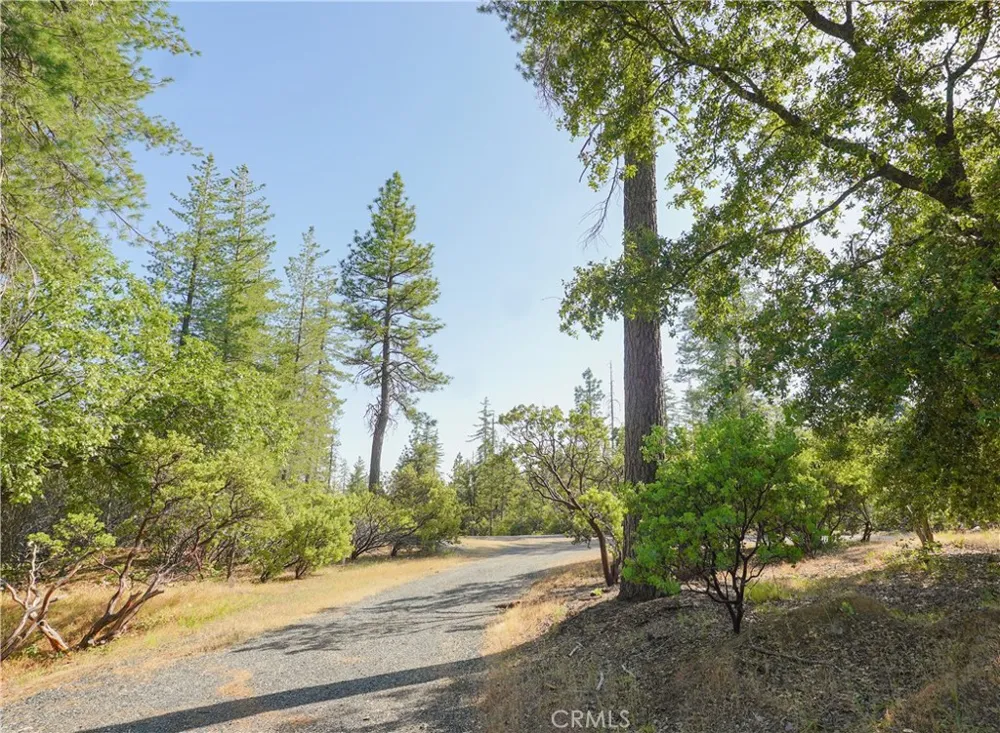 5990 Sugar Pine Drive Coulterville, CA 95311