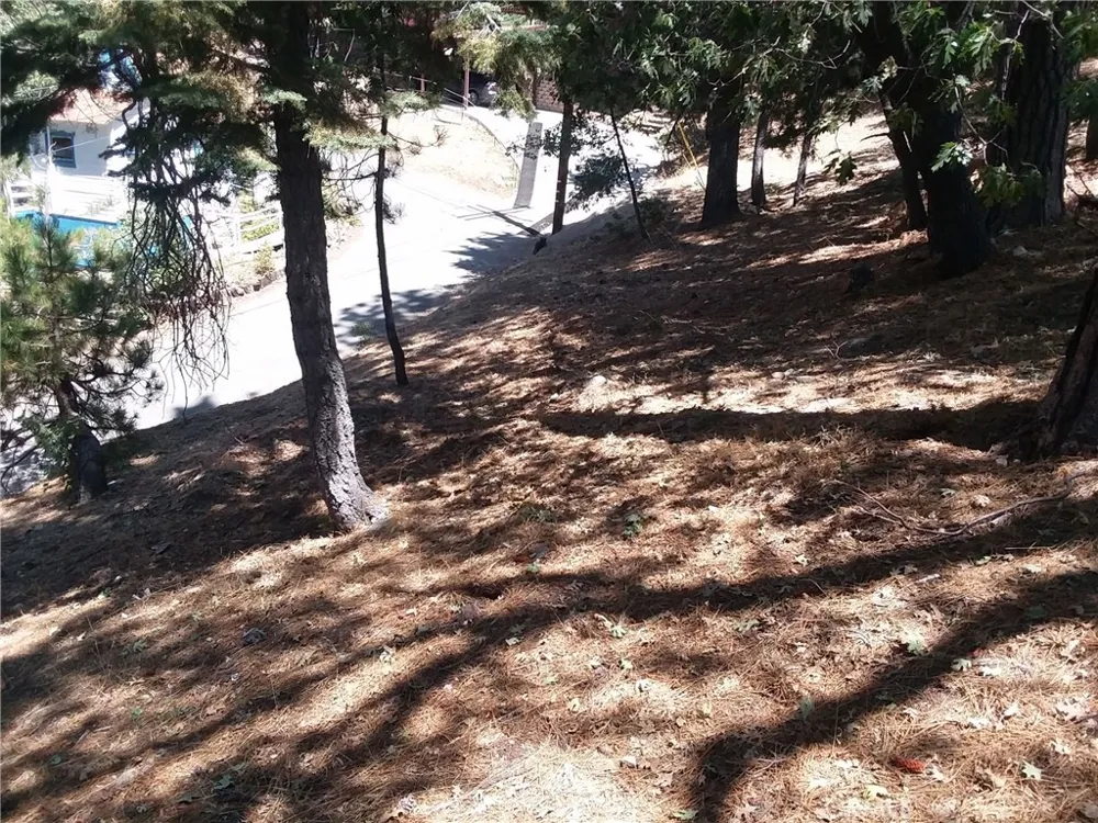 32960 Lone Pine Drive Arrowbear, CA 92382