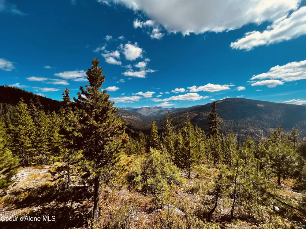 Parcel 2 Packers Meadow Road 373 unincorporated, ID 83525