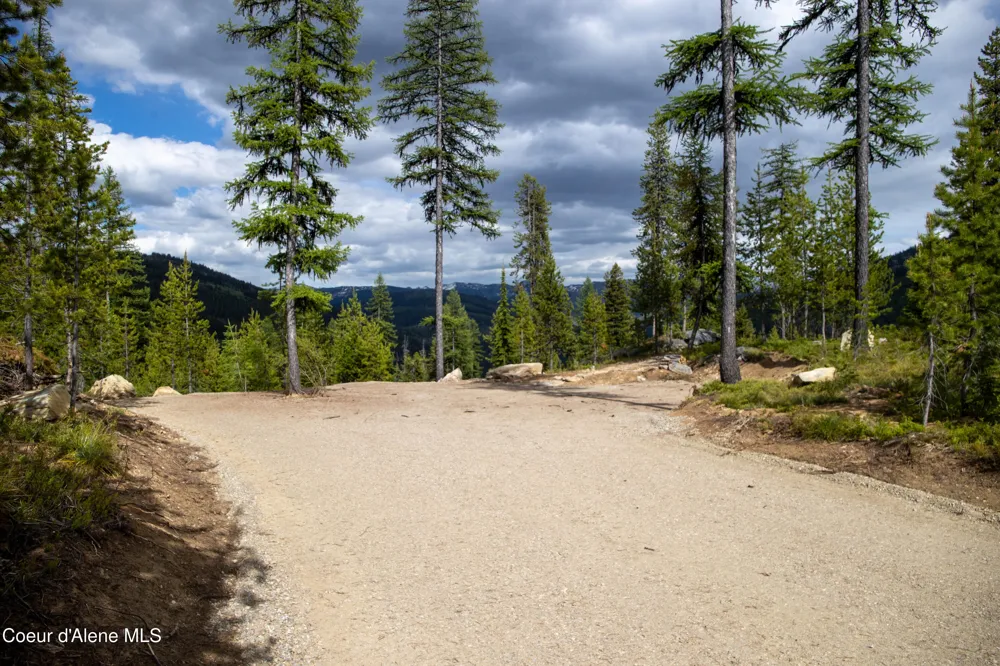 Parcel 2 Packers Meadow Road 373 unincorporated, ID 83525