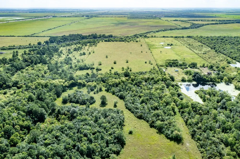 Fm 1724 Hankamer, TX 77560