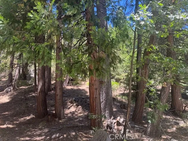 27476 Cedarwood Court Lake Arrowhead, CA 92352
