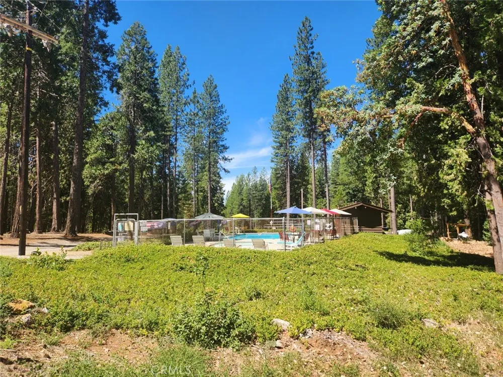 6296 Merry Way Clipper Mills, CA 95930