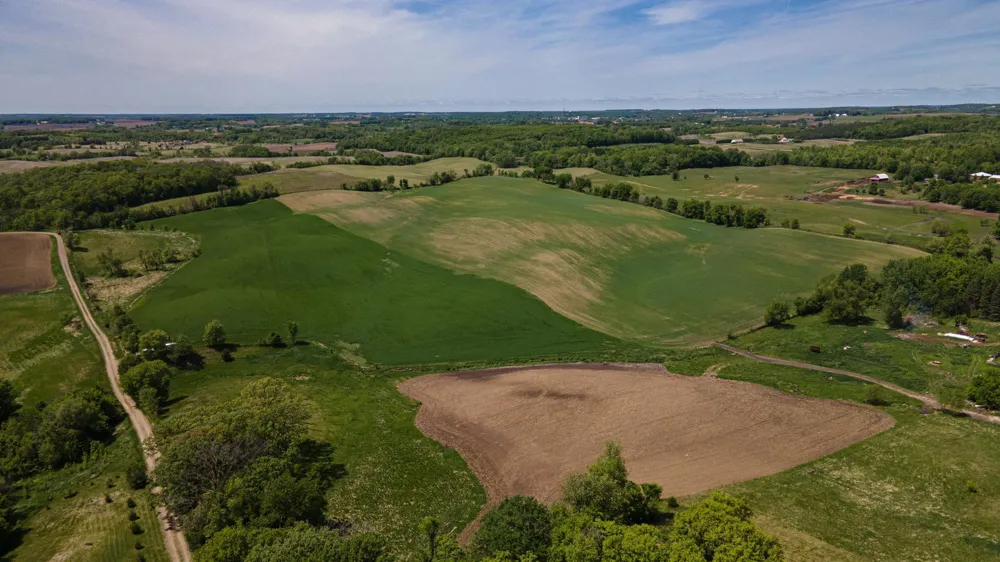 9XXX Elmore Ave Lonsdale, MN 55046