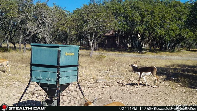1305 Camino Real Junction, TX 76849