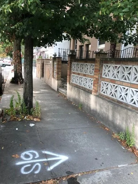 88-05 91st Avenue Woodhaven, NY 11421