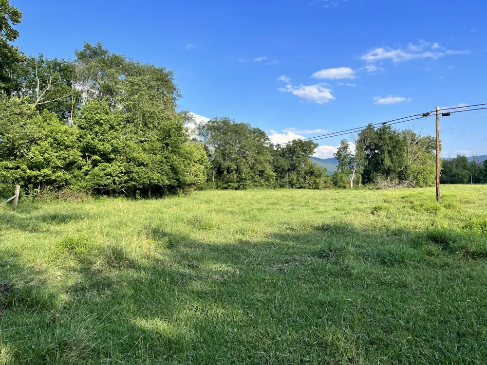 0 Old State Highway 28 Pikeville, TN 37367
