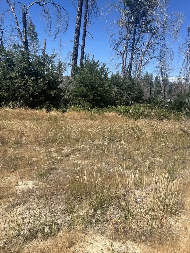130 Simpson Ranch Road Berry Creek, CA 95916