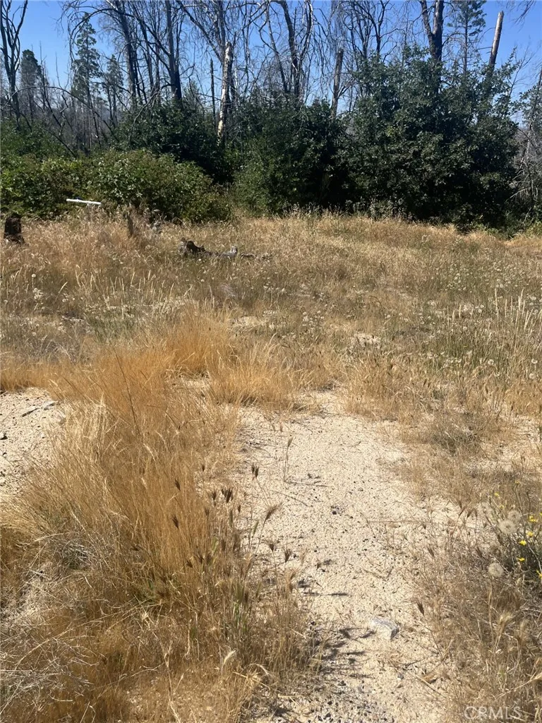 130 Simpson Ranch Road Berry Creek, CA 95916