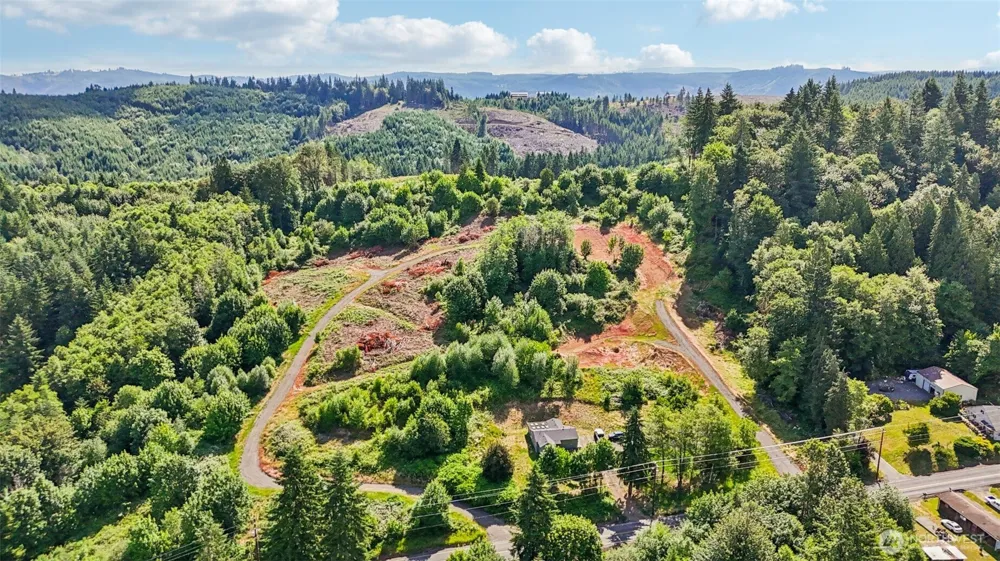 1858 Hazel Dell Road #Lot 2 Castle Rock, WA 98611