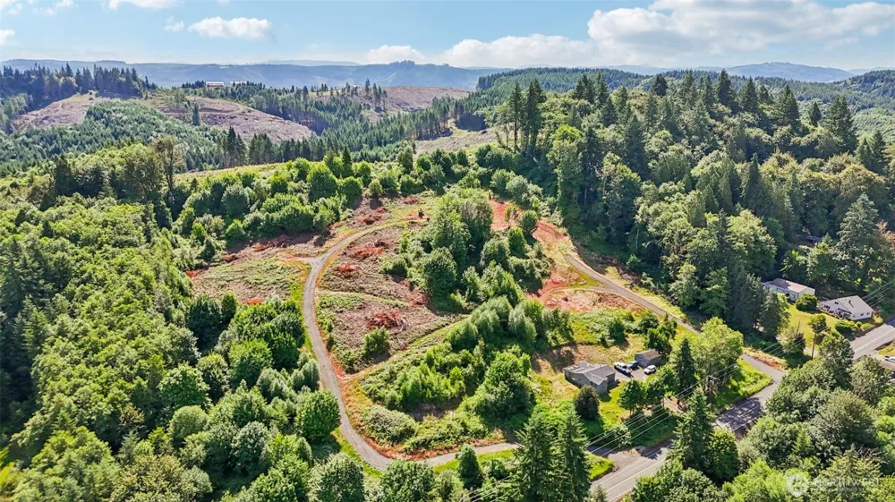 1858 Hazel Dell Road #Lot 2 Castle Rock, WA 98611