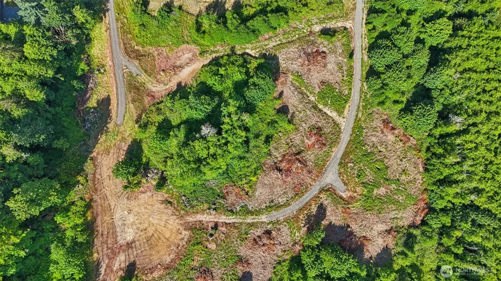1858 Hazel Dell Road #Lot 2 Castle Rock, WA 98611