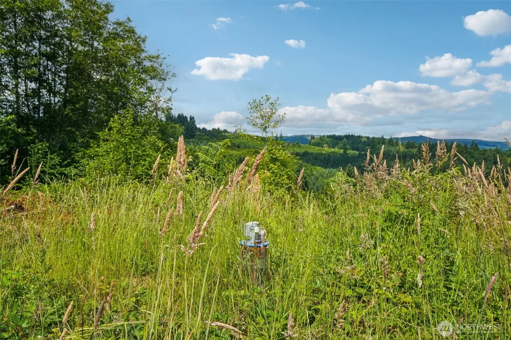 1858 Hazel Dell Road #Lot 2 Castle Rock, WA 98611