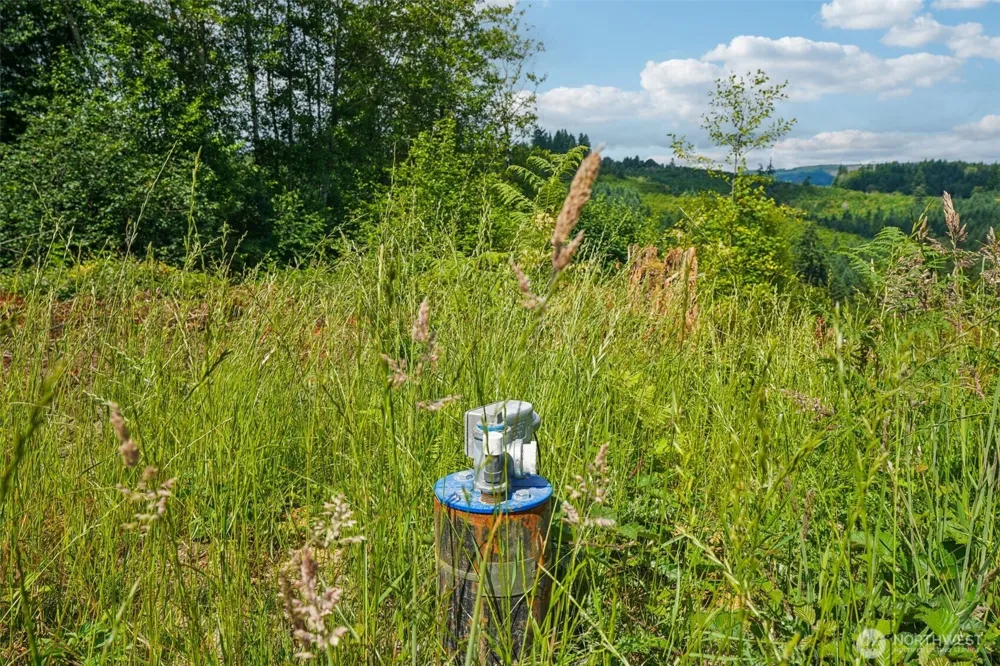 1858 Hazel Dell Road #Lot 2 Castle Rock, WA 98611