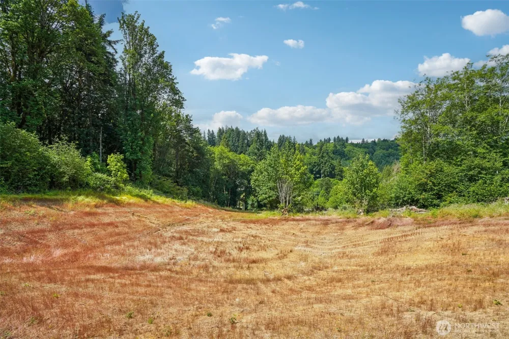 1858 Hazel Dell Road #Lot 2 Castle Rock, WA 98611