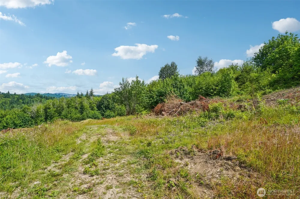1858 Hazel Dell Road #Lot 2 Castle Rock, WA 98611