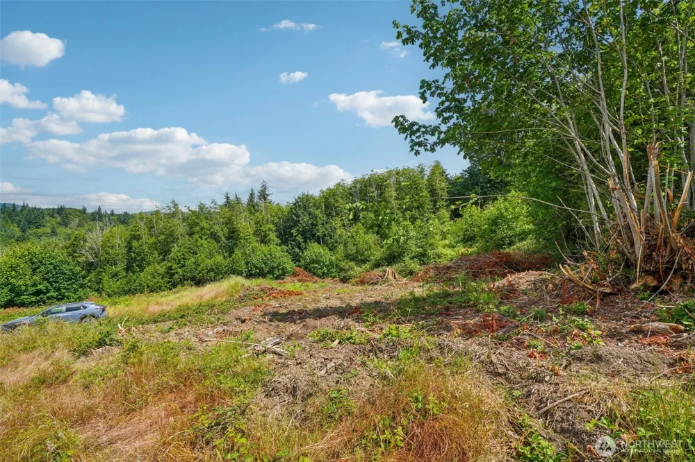 1858 Hazel Dell Road #Lot 2 Castle Rock, WA 98611