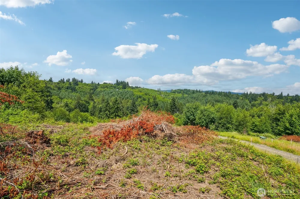 1858 Hazel Dell Road #Lot 2 Castle Rock, WA 98611