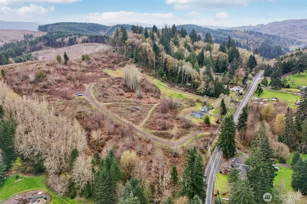 1858 Hazel Dell Road #Lot 2 Castle Rock, WA 98611