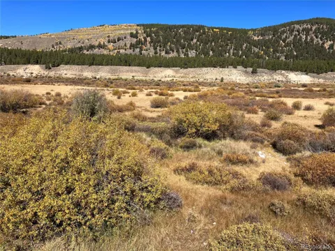Leadville Land