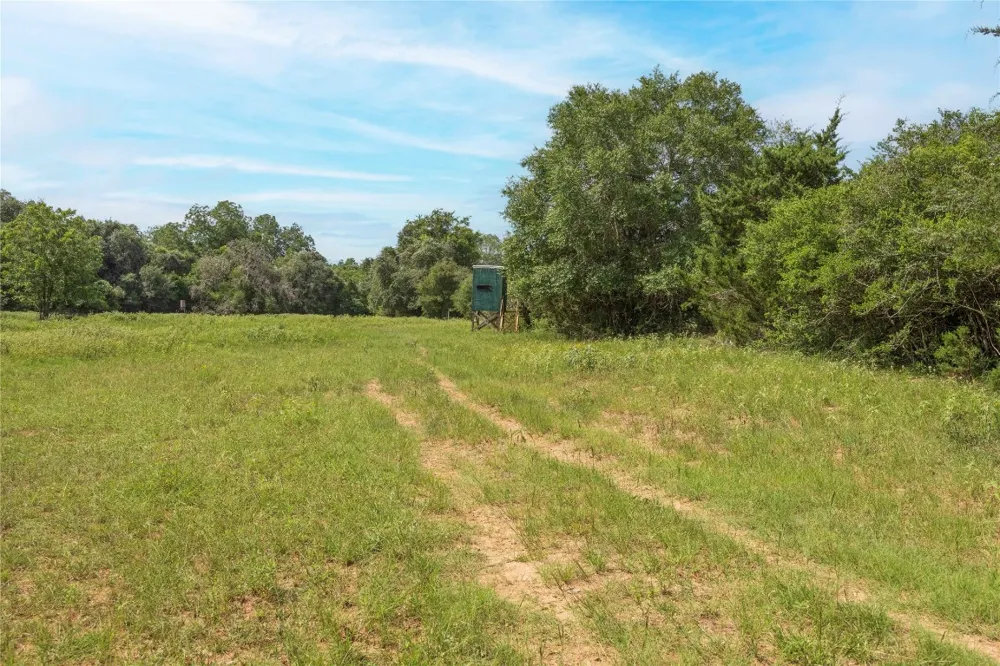 6 CR 212 Hallettsville, TX 77964