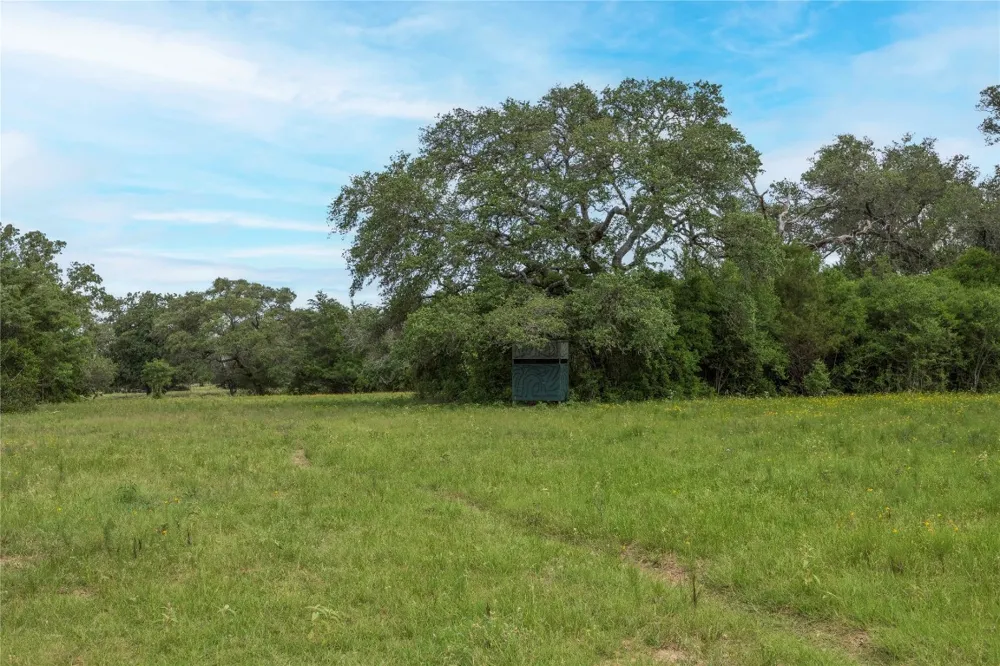 6 CR 212 Hallettsville, TX 77964
