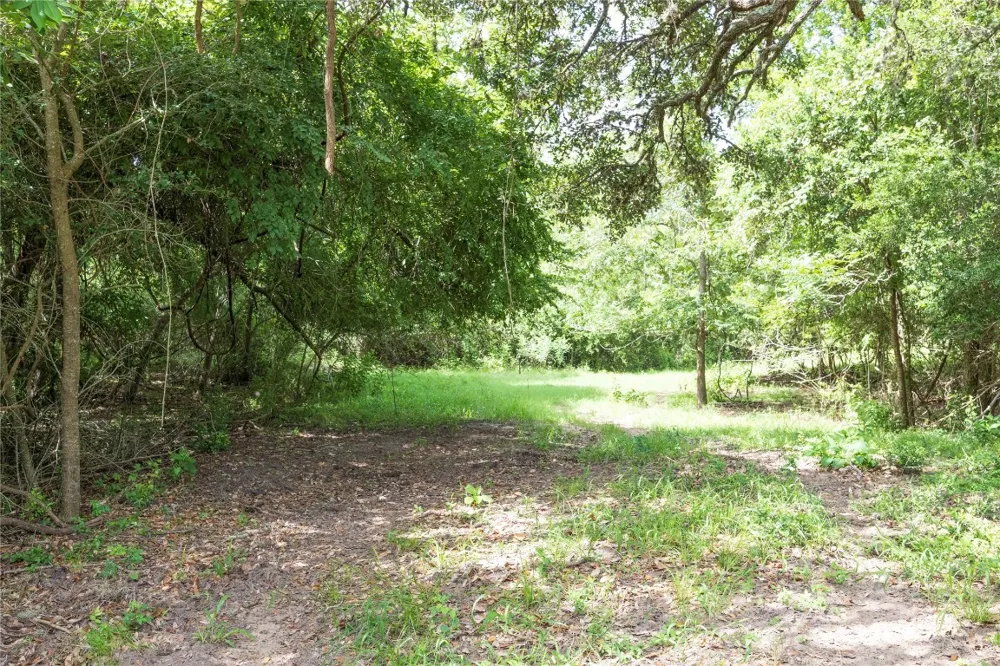 6 CR 212 Hallettsville, TX 77964