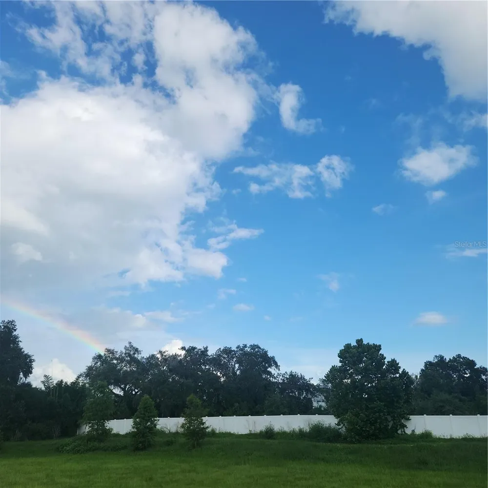 4137 NEW RIVER RD Zephyrhills, FL 33542