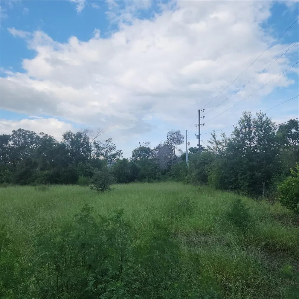 4137 NEW RIVER RD Zephyrhills, FL 33542