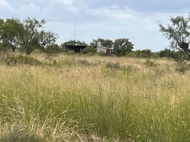 County Road 405 Merkel, TX 79536