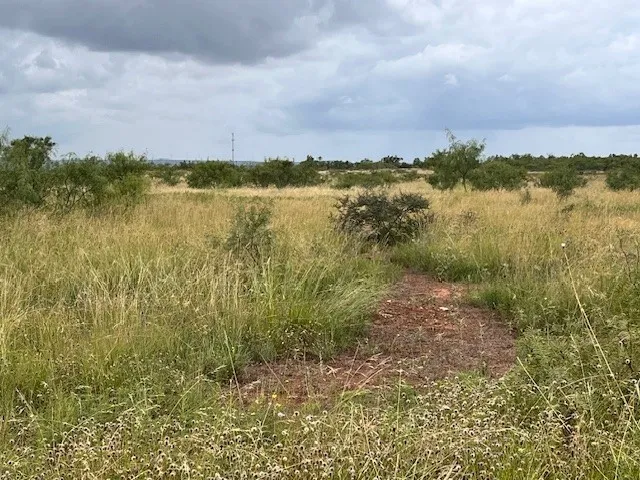 County Road 405 Merkel, TX 79536