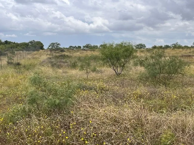County Road 405 Merkel, TX 79536
