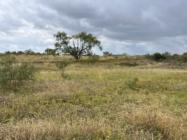 County Road 405 Merkel, TX 79536