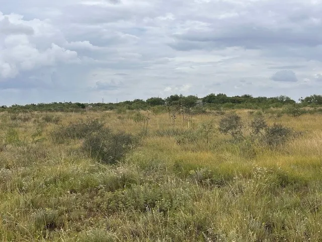 County Road 405 Merkel, TX 79536