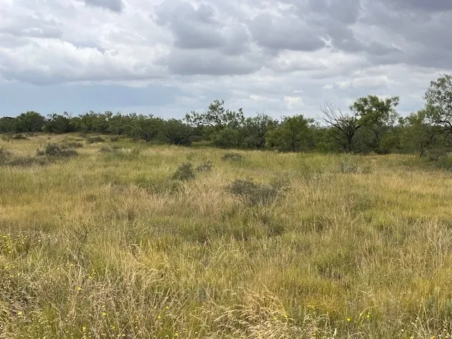 County Road 405 Merkel, TX 79536