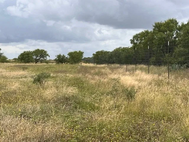 County Road 405 Merkel, TX 79536