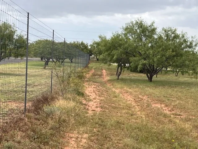 County Road 405 Merkel, TX 79536