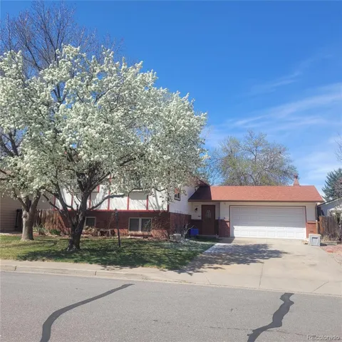 2265 Albany Court
