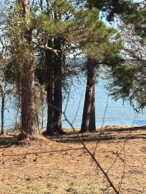 1867 Fm-3186 Onalaska, TX 77360
