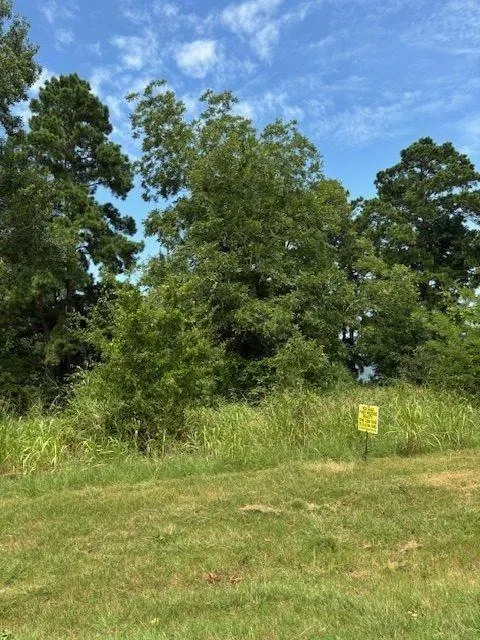 1867 Fm-3186 Onalaska, TX 77360