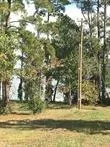 1867 Fm-3186 Onalaska, TX 77360